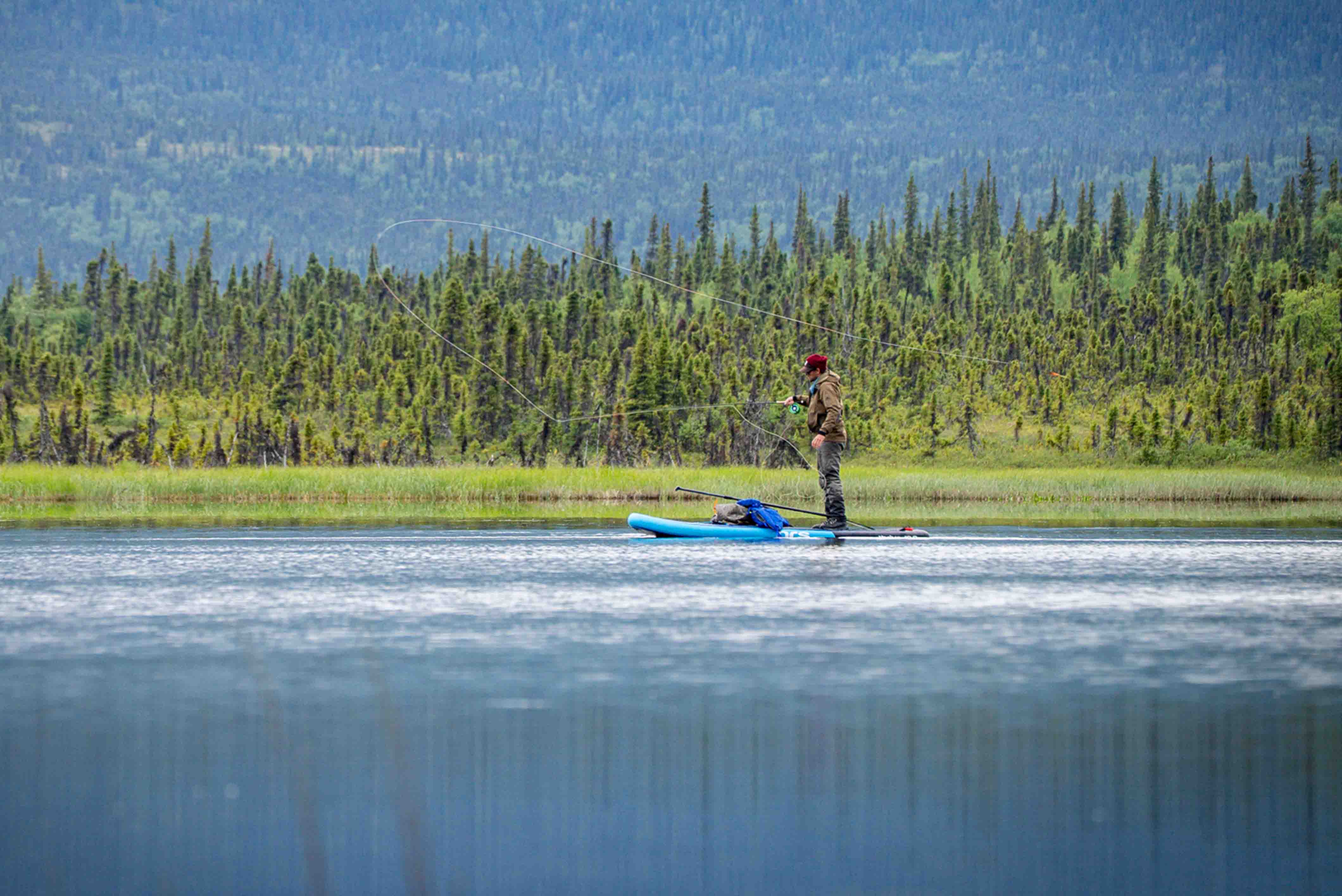 Northern Pike Fishing Alaska
