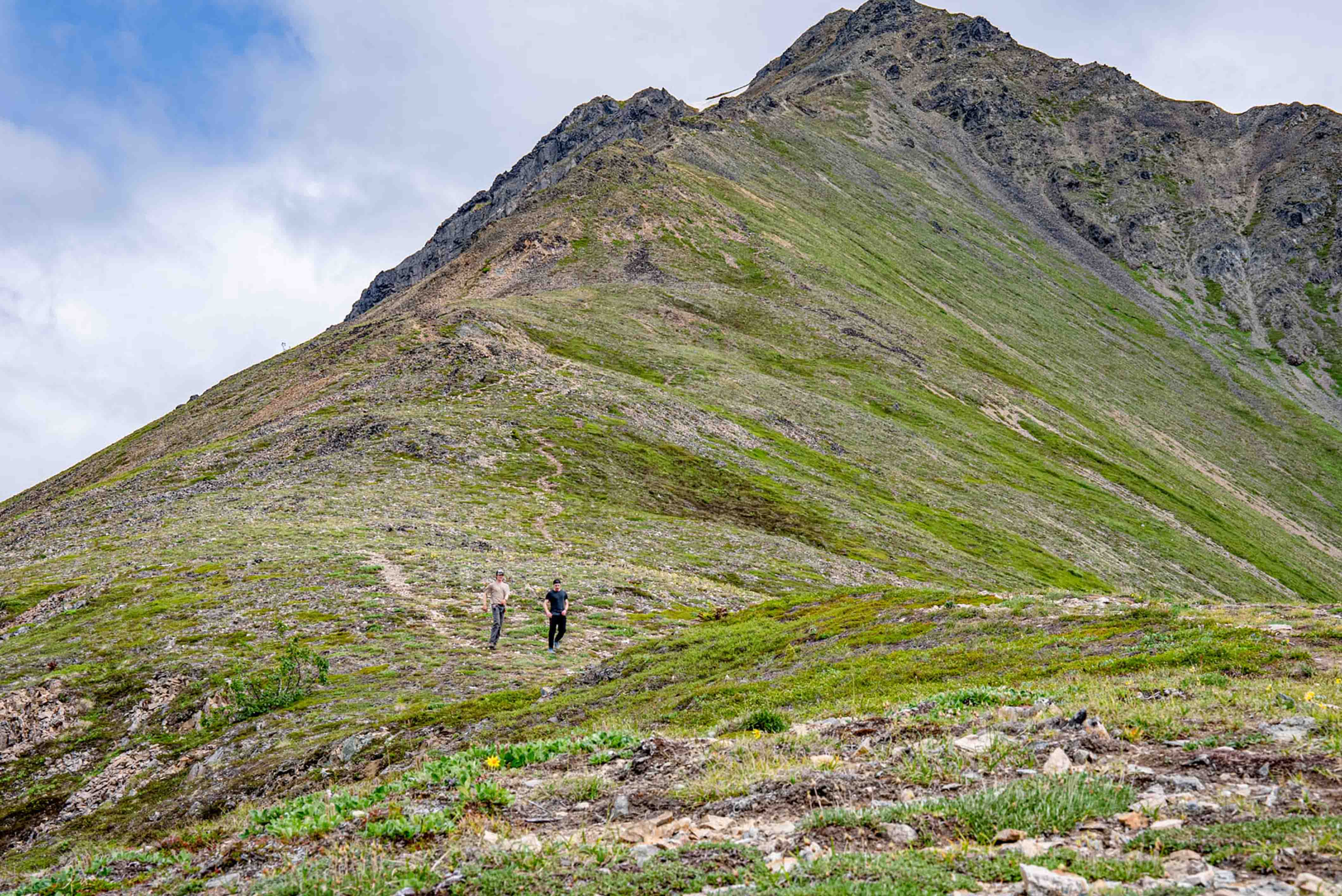 Tanalian Peak Mountain Summit