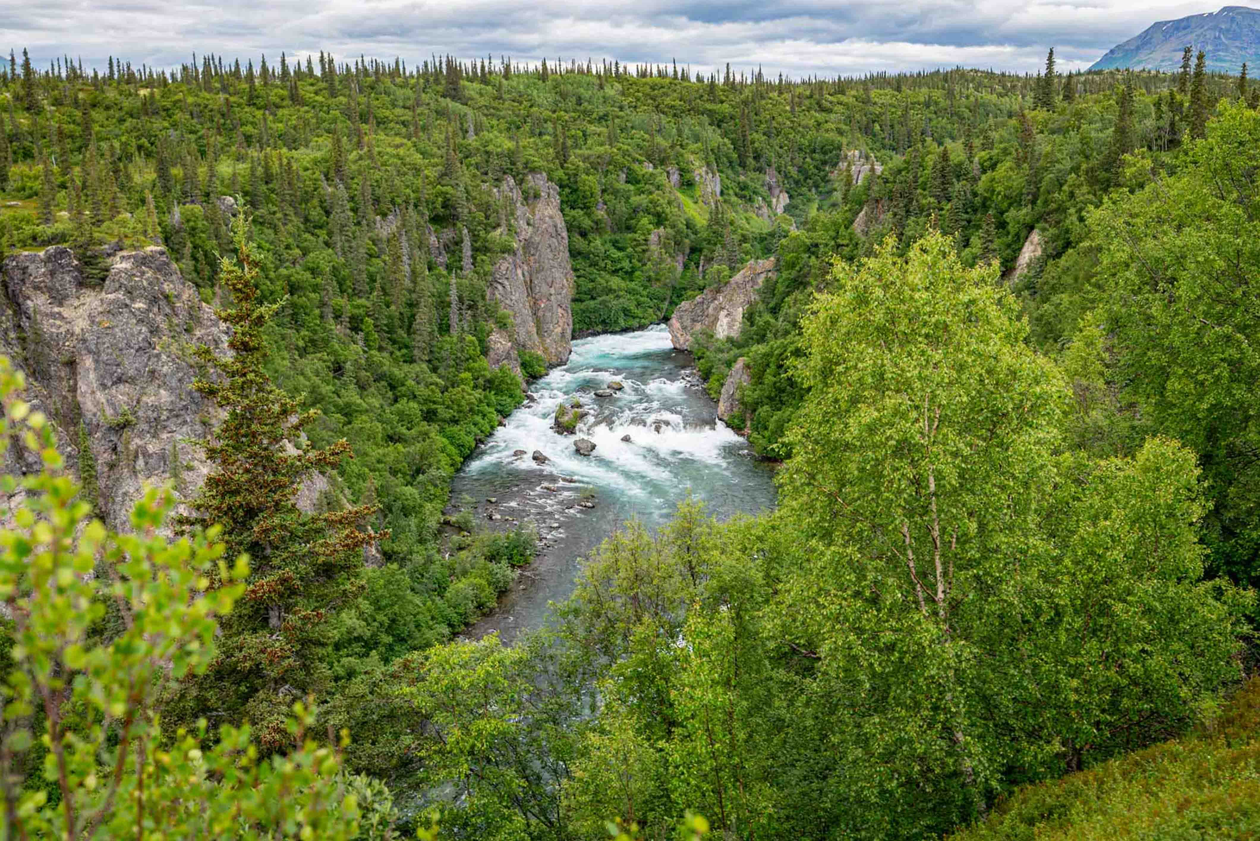 Tanalian Creek Lake Clark National park