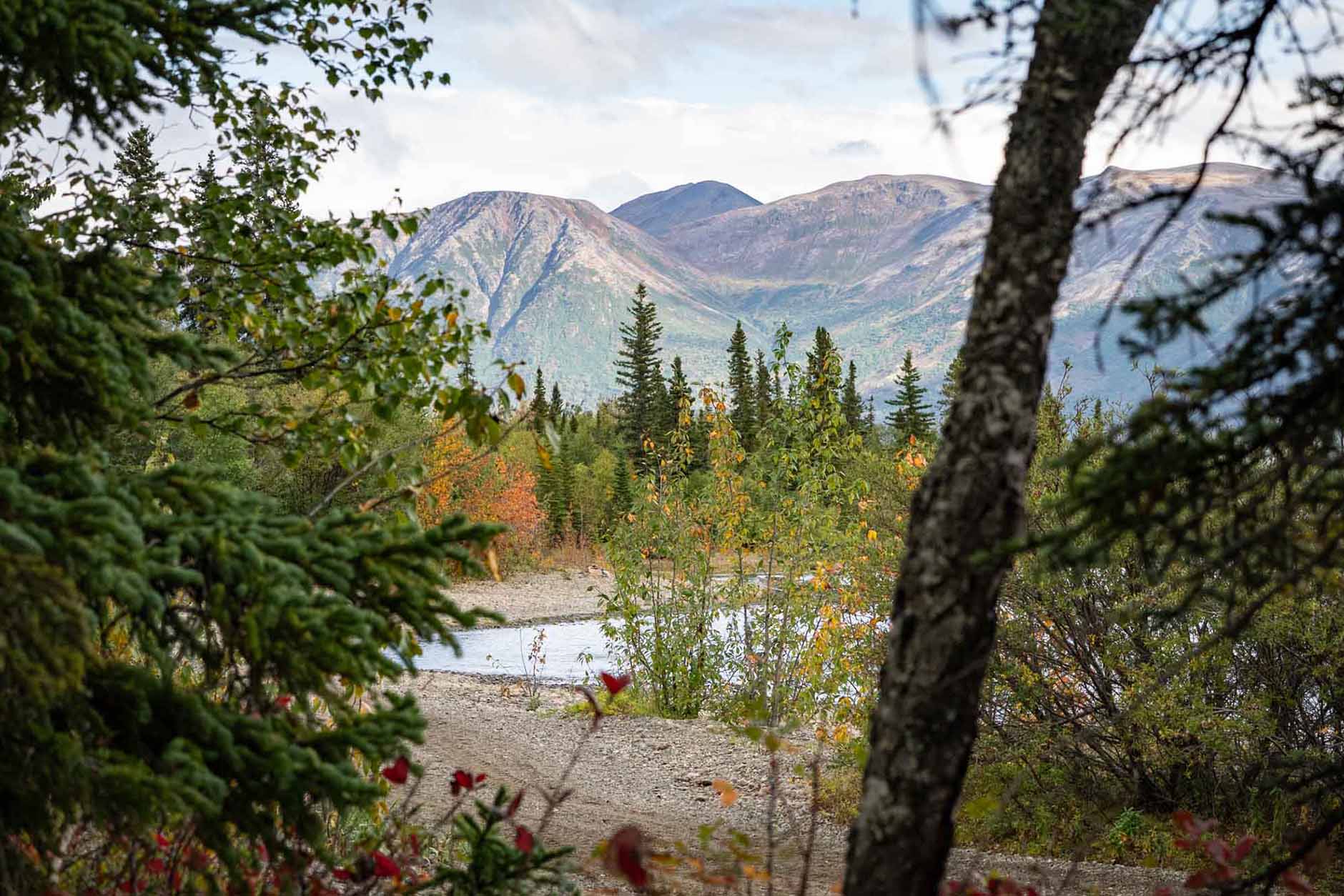 Local Hiking Trails